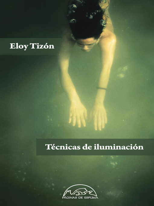 Title details for Técnicas de iluminación by Eloy Tizón - Wait list